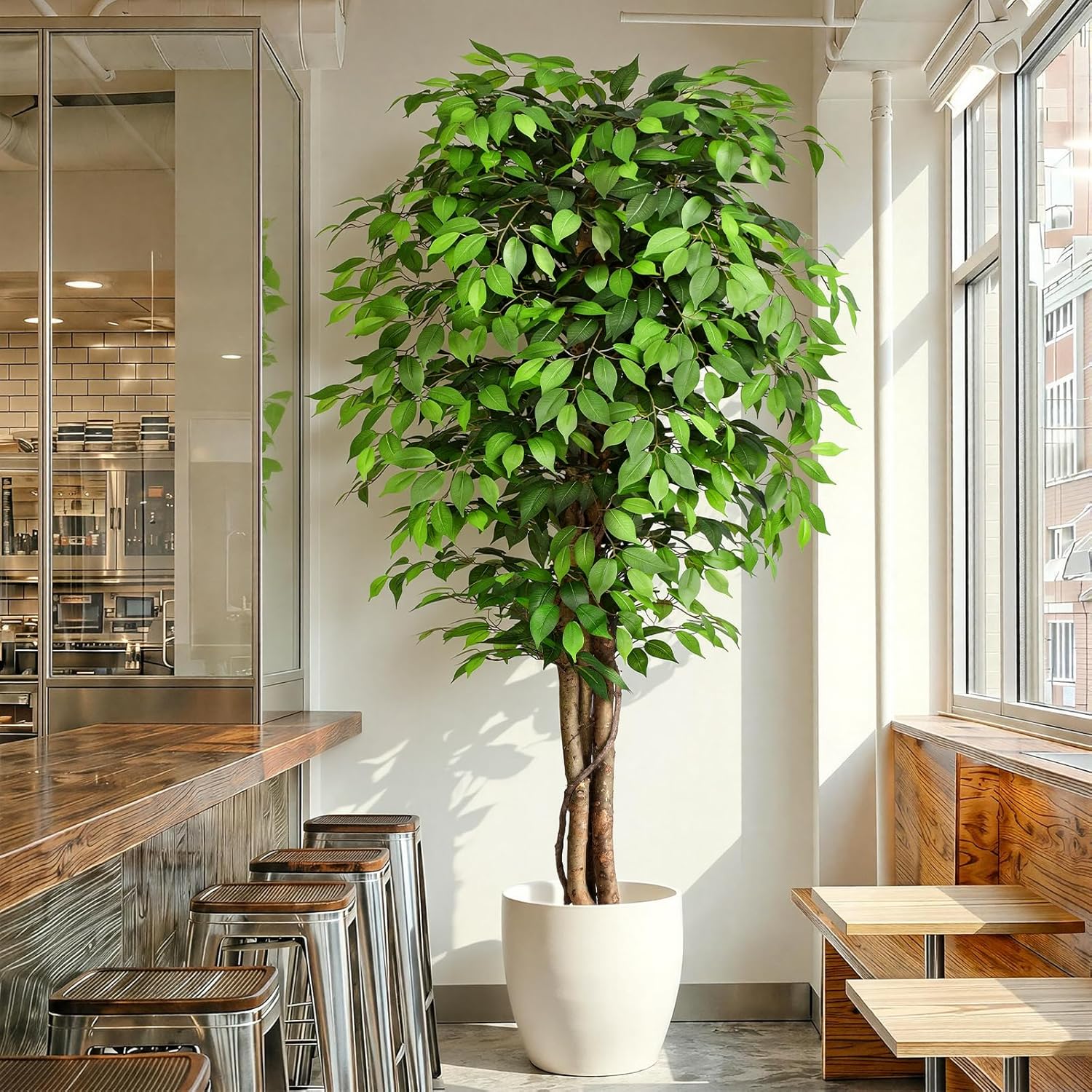 Monstera Adansonii - Lebensechter Künstlicher Ficus-Baum mit Natürlichem Stamm