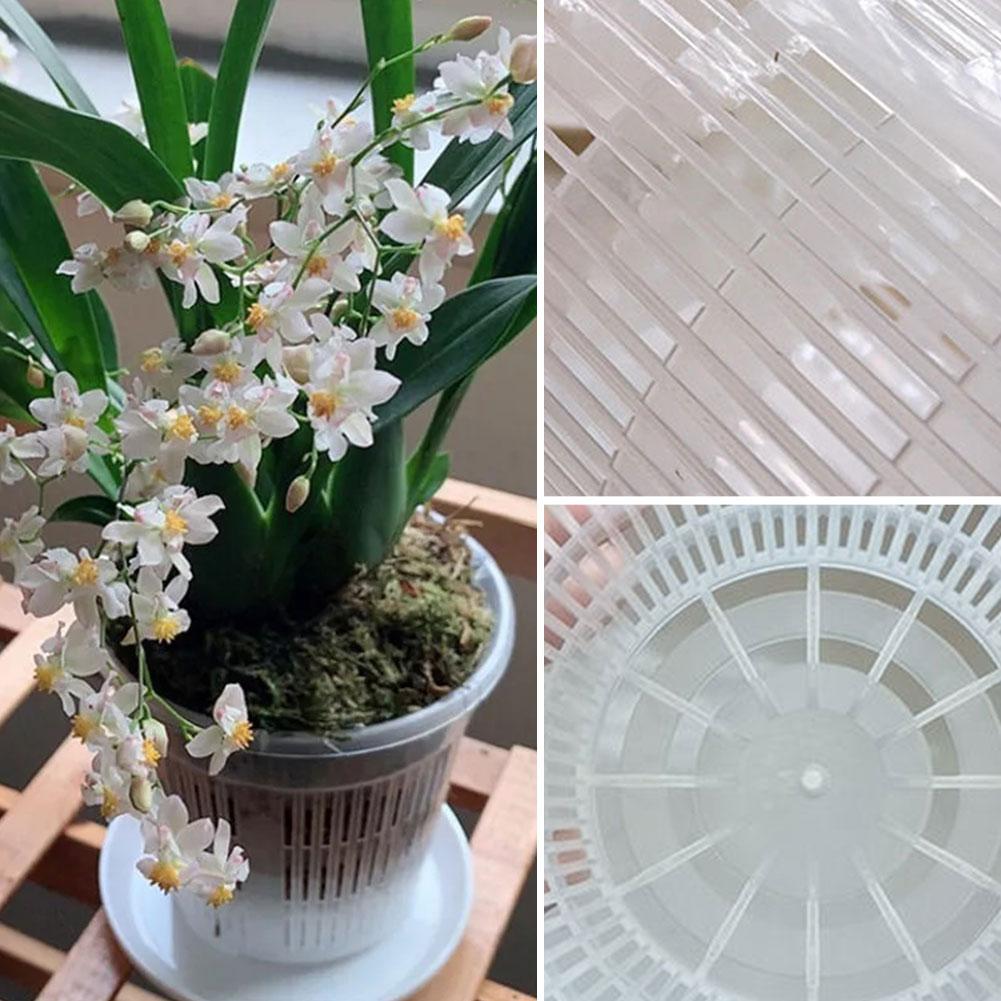 Aloe Vera Pot - Mesh Pot Root Control Transparenter Blumentopf