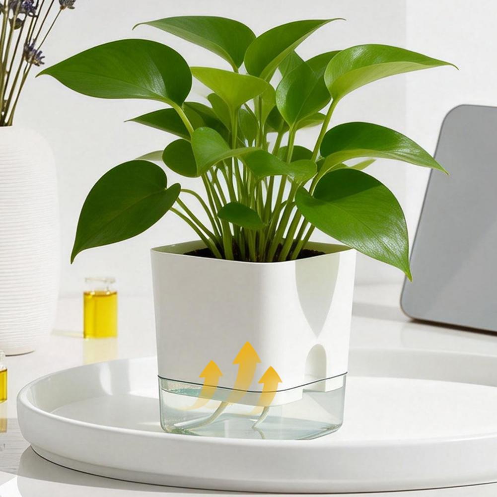 Aloe Vera Pot - Automatische Bewässerung von Blumentöpfen, selbstbewässernder Blumentopf,