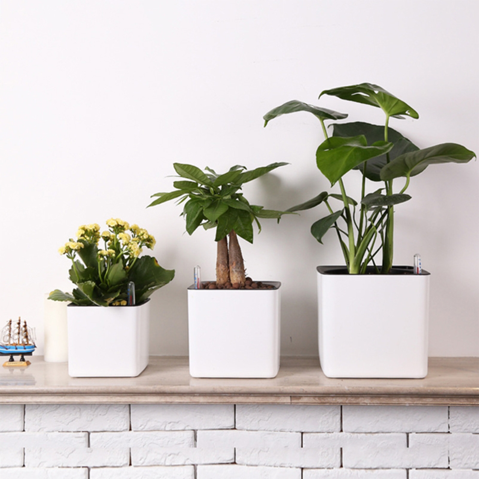 Aloe Vera Pot - Selbstbewässernder Blumentopf mit Wasserstandsanzeige Weißer Selbstbewässernder