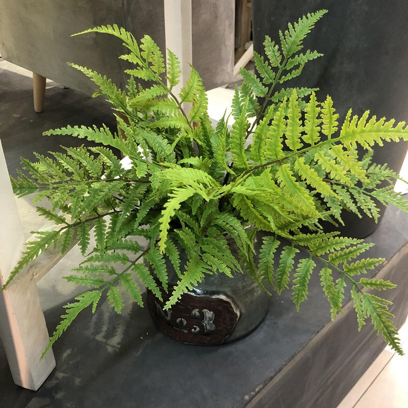 Dracaena Marginata - 1 Stück künstliche Pflanzen Schlafzimmer Party