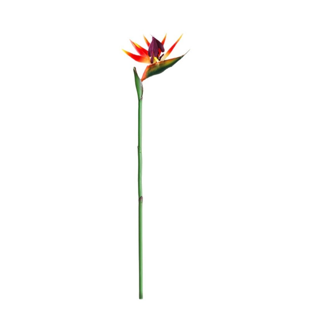 Langstieliger künstlicher Para – Bird Paradise Strelitzia Bewertung und Preis