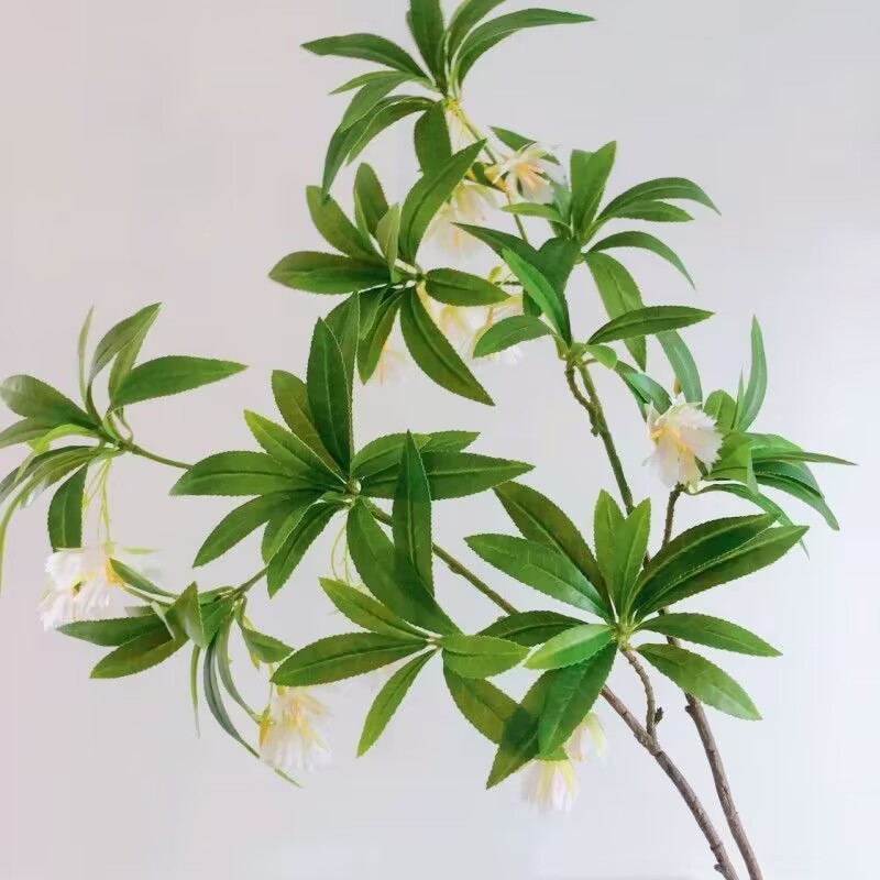 35,43 Zoll künstlicher Wassers – Dracaena Marginata Bewertung und Preis