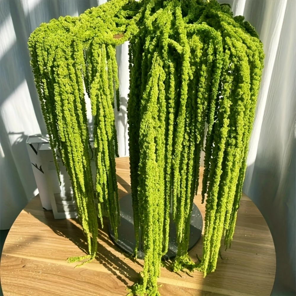 4-teiliges Set Künstliche Amar – Monstera Adansonii Bewertung und Preis