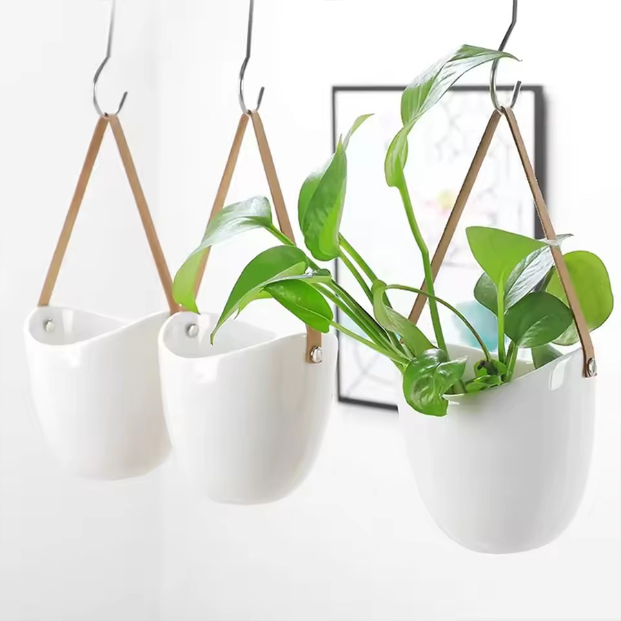 Weißer Hängender Blumentopf mi – Aloe Vera Pot Bewertung und Preis