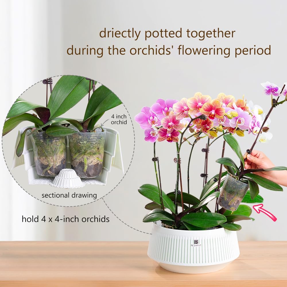 Meshpot Orchideentopf mit Löch – Aloe Vera Pot Bewertung und Preis