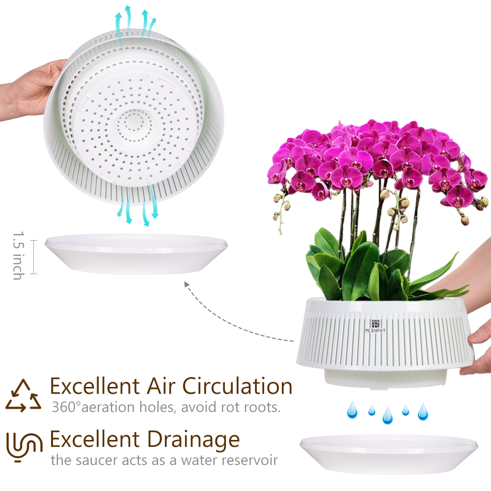 Meshpot Orchideentopf mit Löch – Aloe Vera Pot Bewertung und Preis