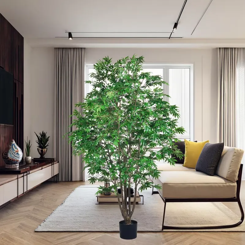 Trendiger Großhandel Grüner Ah – Dracaena Marginata Bewertung und Preis