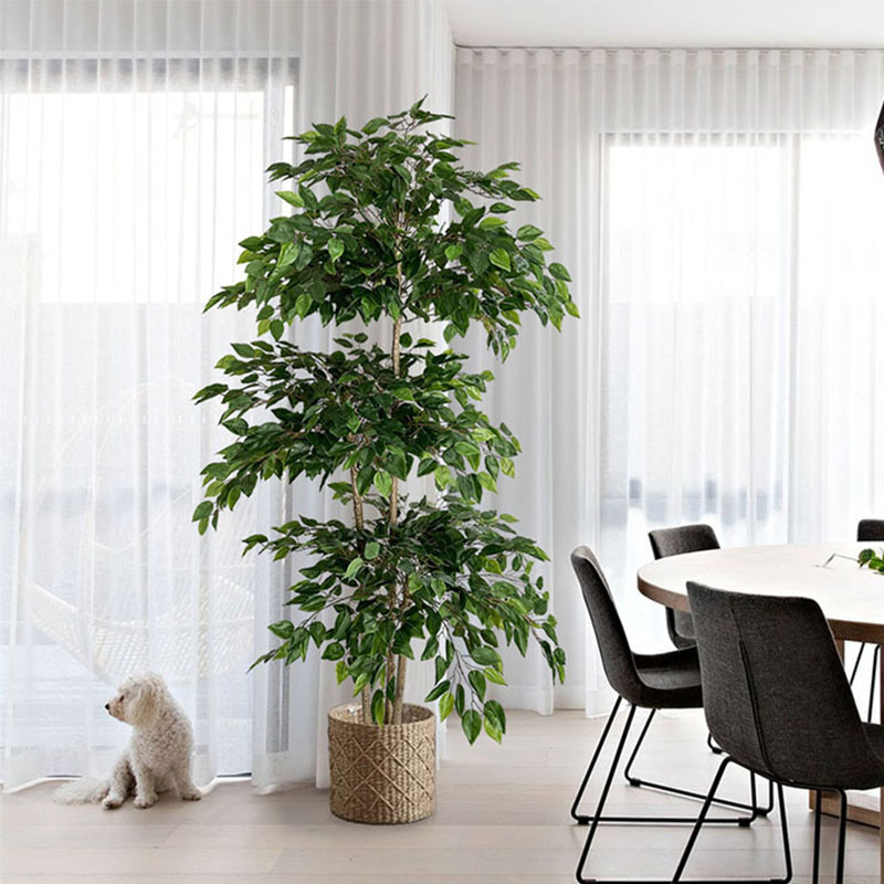 70in Ficus künstlicher Baum gr – Ficus Lyrata Tree Bewertung und Preis