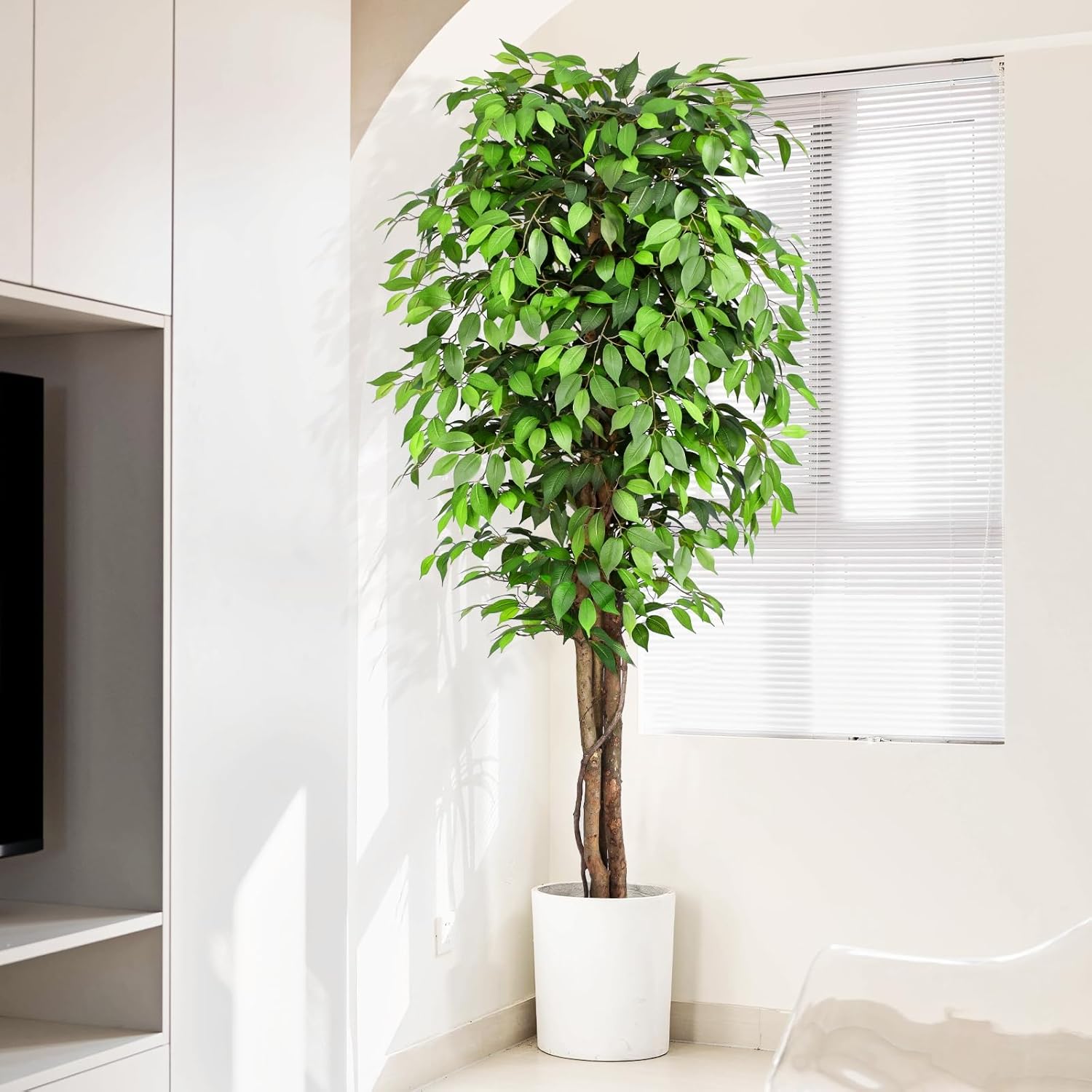 Lebensechter Künstlicher Ficus – Monstera Adansonii Bewertung und Preis
