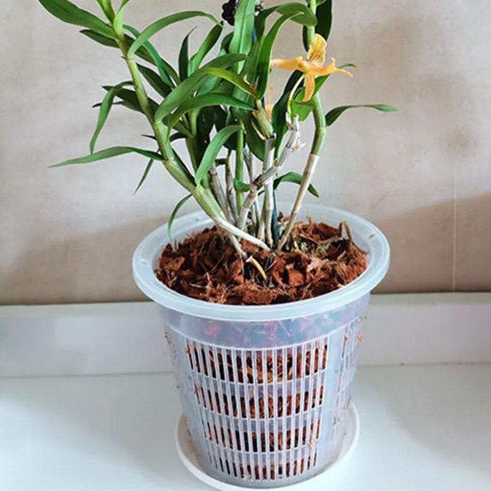 Mesh Pot Root Control Transpar – Aloe Vera Pot Bewertung und Preis