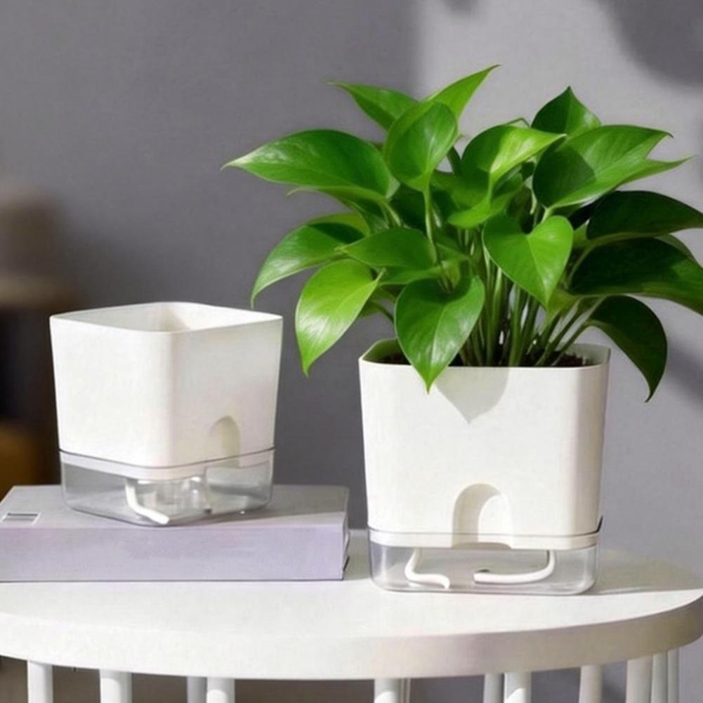 Automatische Bewässerung von B – Aloe Vera Pot Bewertung und Preis
