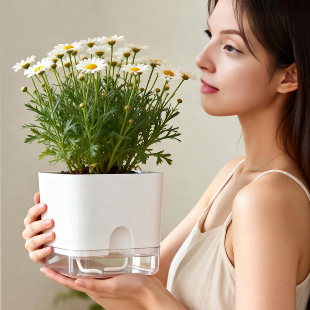 Automatische Bewässerung von B – Aloe Vera Pot Bewertung und Preis