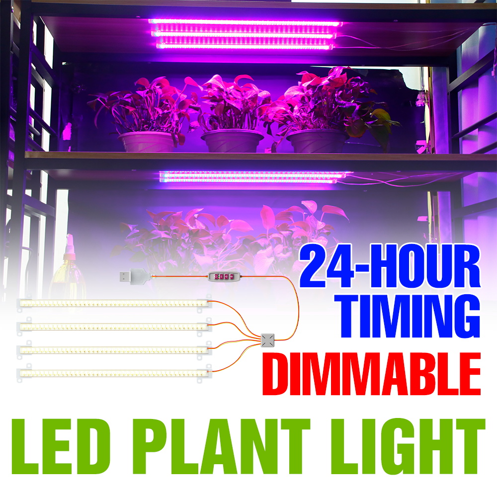 LED-Pflanzenlichtleiste für In – Echeveria Succulent Bewertung und Preis