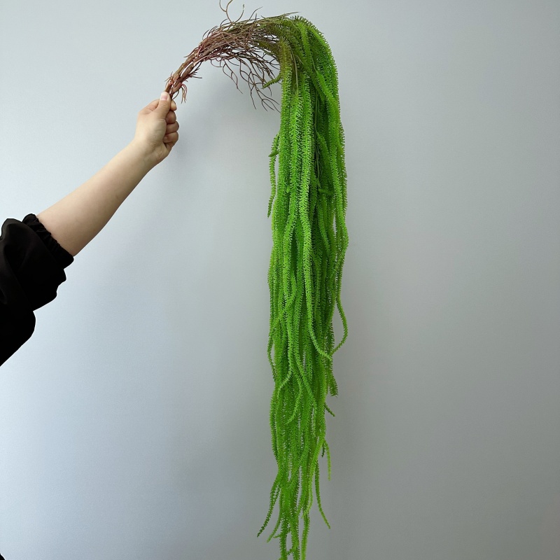 Künstlicher Weidenbart, vielse – Monstera Adansonii Bewertung und Preis