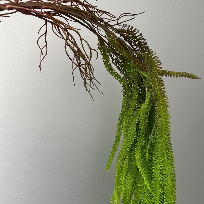 Künstlicher Weidenbart, vielse – Monstera Adansonii Bewertung und Preis