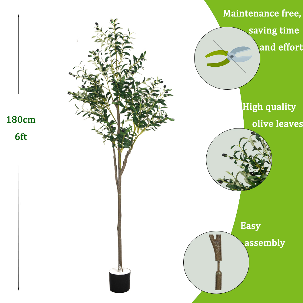5/6ft große künstliche Olivenp – Dracaena Marginata Bewertung und Preis