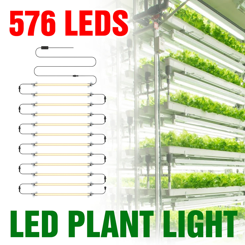 LED Wachsen Licht Streifen Vol – Echeveria Succulent Bewertung und Preis