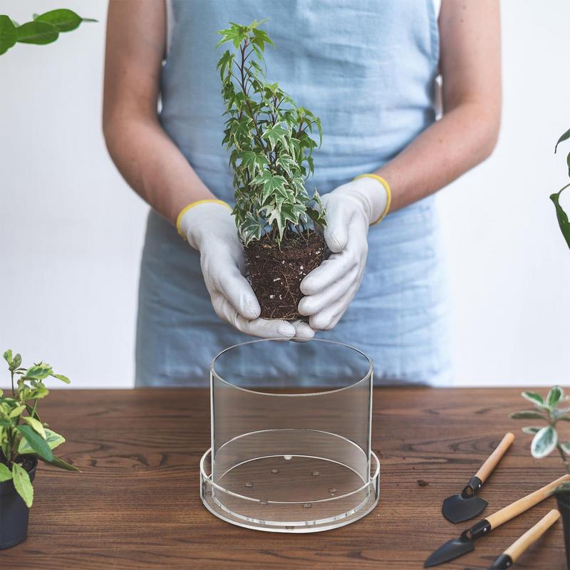 Klare Blumentöpfe mit Entwässe – Aloe Vera Pot Bewertung und Preis