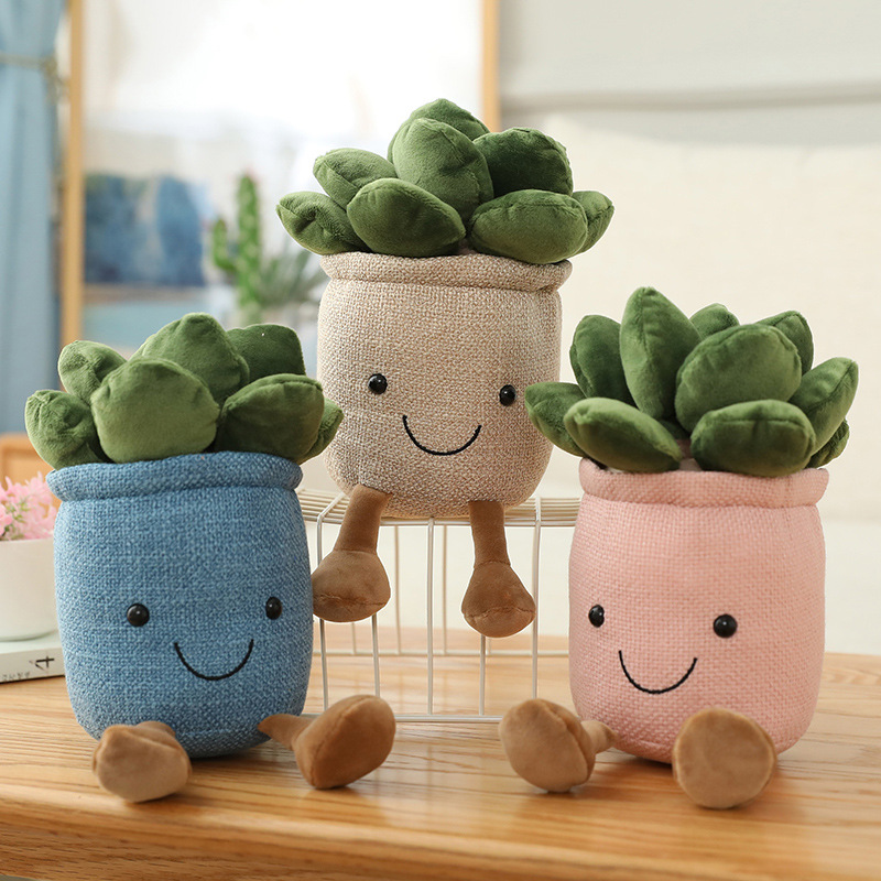 Lebensechte Tulpen-Sukkulenten – Echeveria Succulent Bewertung und Preis