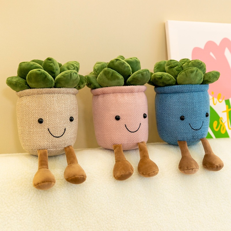 Lebensechte Tulpen-Sukkulenten – Echeveria Succulent Bewertung und Preis