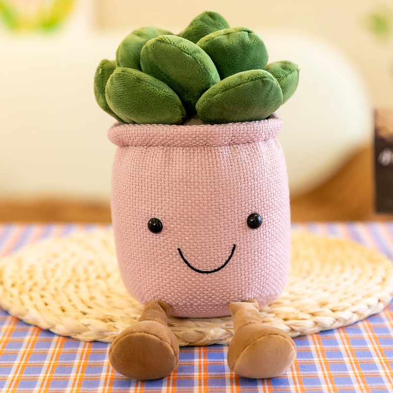 Lebensechte Tulpen-Sukkulenten – Echeveria Succulent Bewertung und Preis