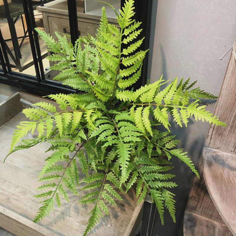 1 Stück künstliche Pflanzen Sc – Dracaena Marginata Bewertung und Preis