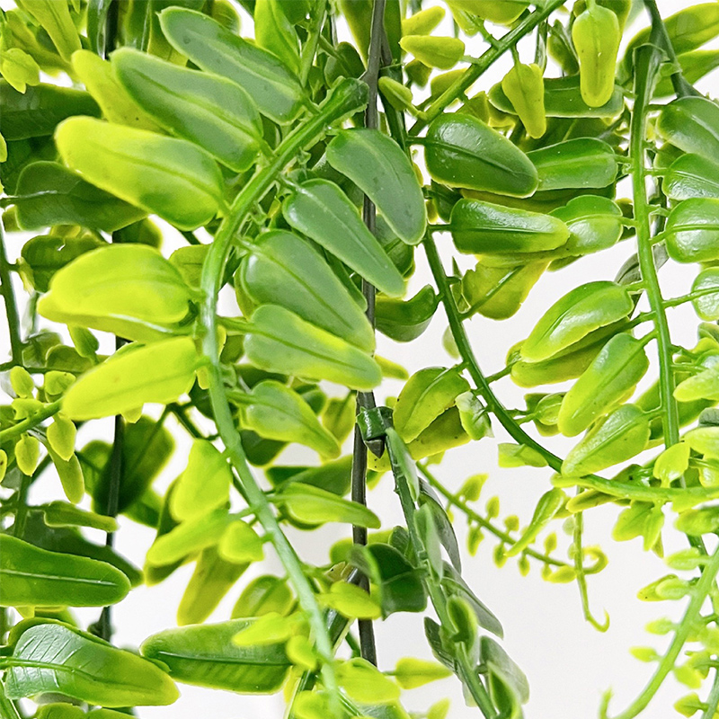 90 cm Persische Farnblätter Re – Monstera Adansonii Bewertung und Preis