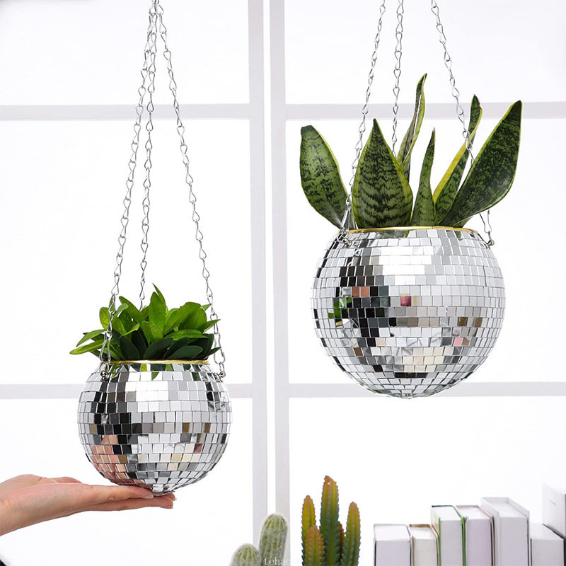 Disco-Spiegelkugel Hängender B – Echeveria Succulent Bewertung und Preis