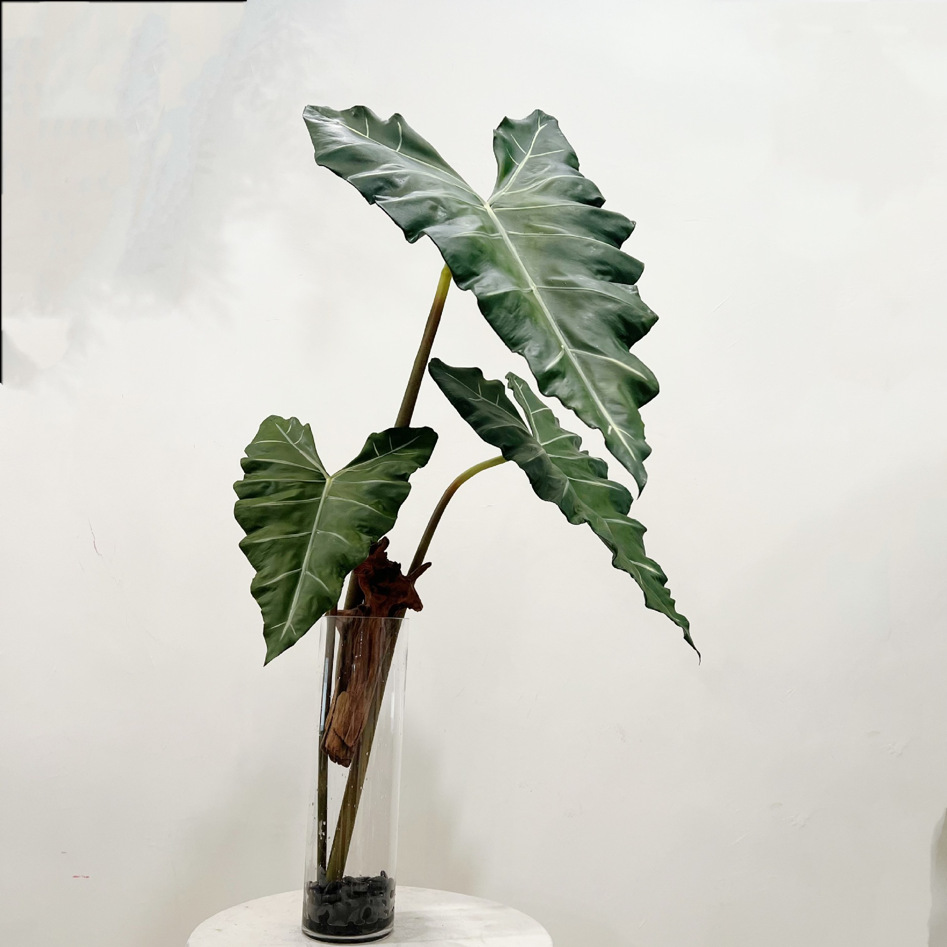 Simulierte lange PU-Handgefühl – Monstera Adansonii Bewertung und Preis