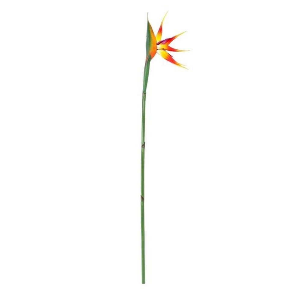 Neue künstliche Strelitzienblu – Bird Paradise Strelitzia Bewertung und Preis