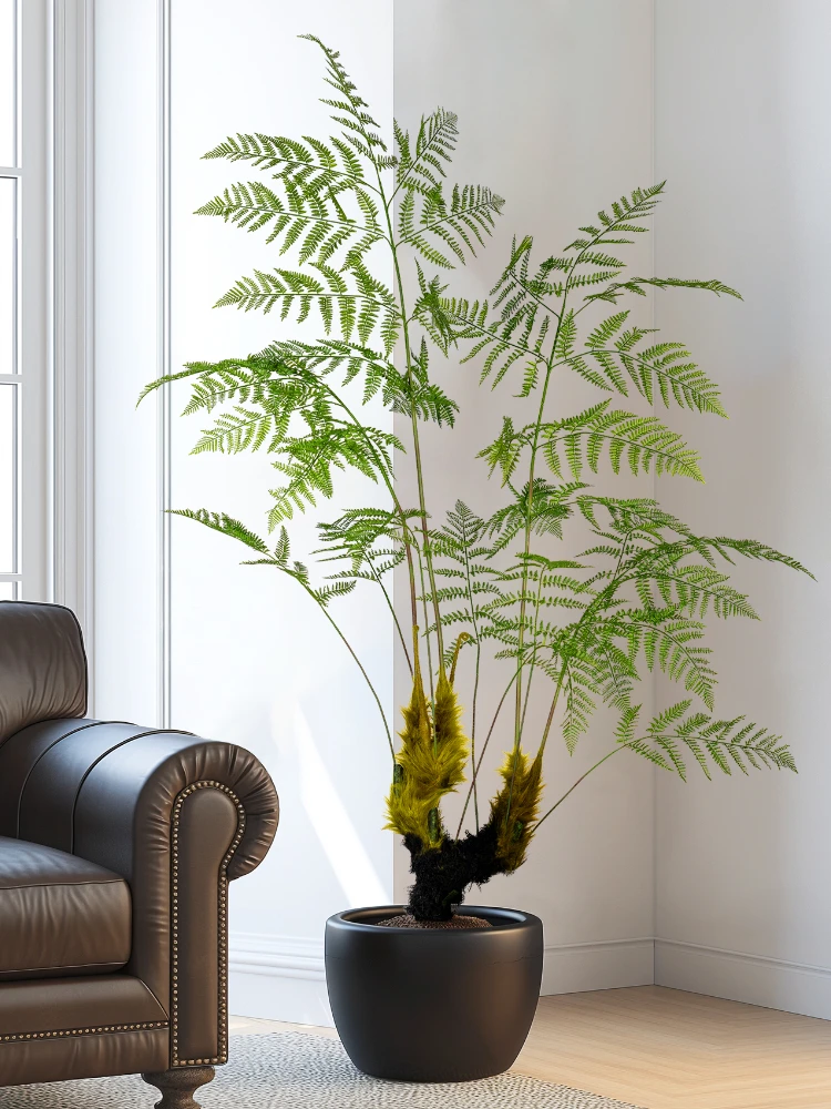 Großer simulierter goldener Af – Dracaena Marginata Bewertung und Preis