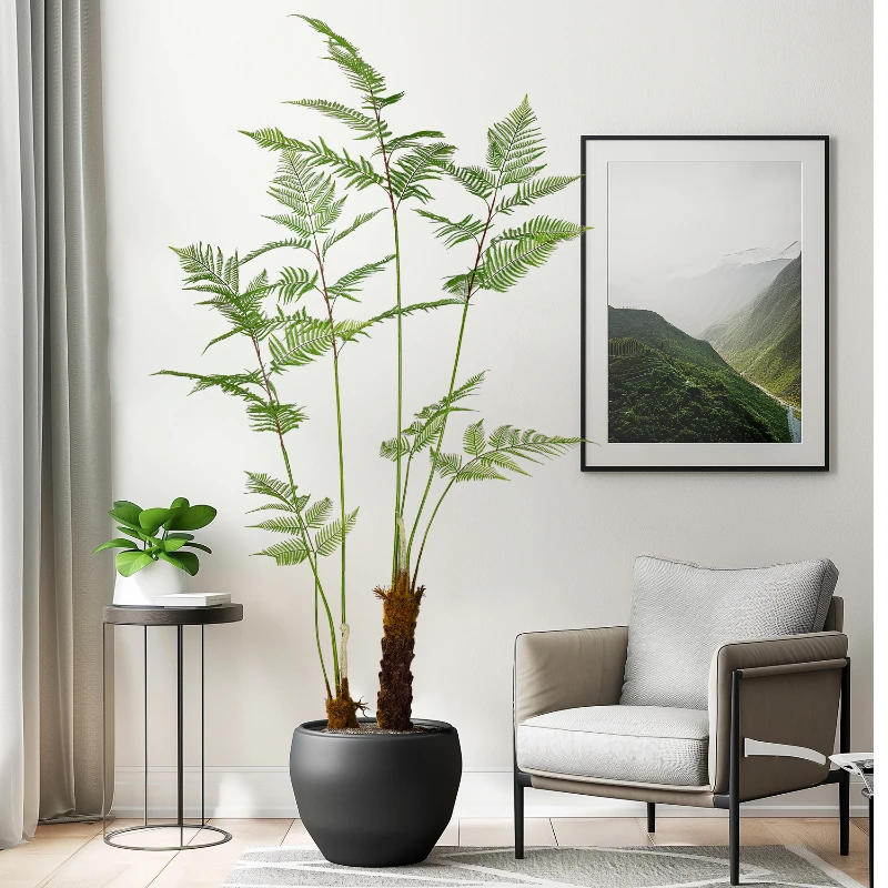 Großer simulierter goldener Af – Dracaena Marginata Bewertung und Preis